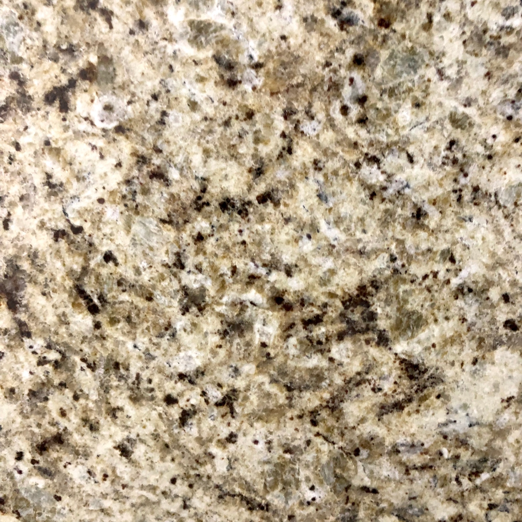Giallo Ornamental countertop color sample