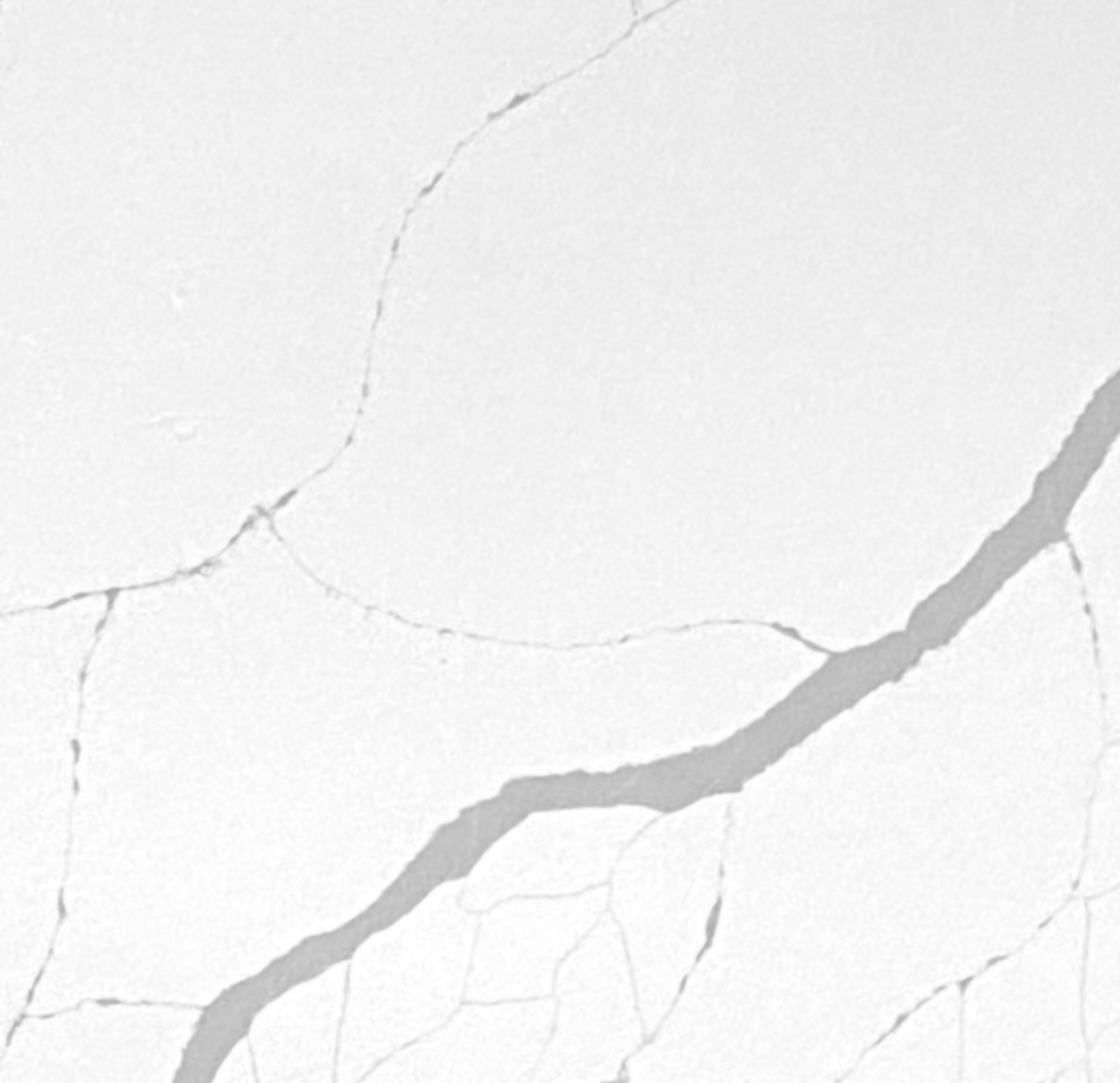 Calacatta Sponda countertop color sample